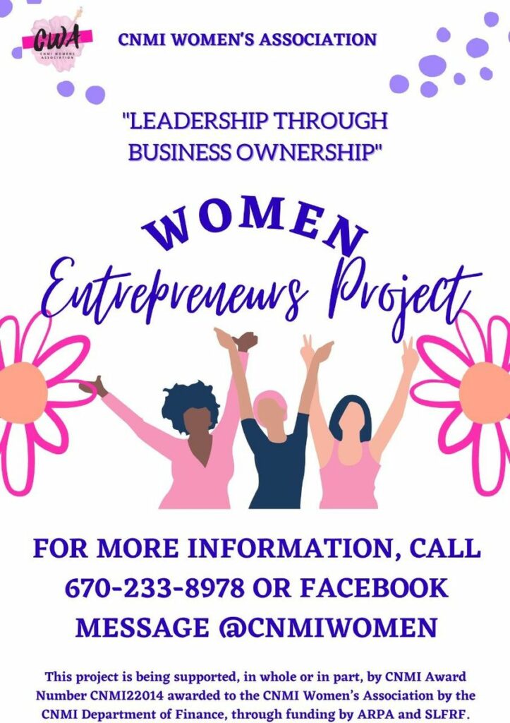 women entrepreneur project image